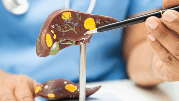 Il legame tra fegato, intestino e tossine: la chiave della salute e dell’infiammazione